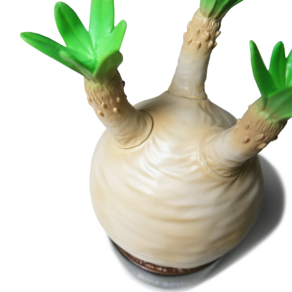 Amazon.co.jp: Botani Toys Club Pachypodium Gracilius BASICver